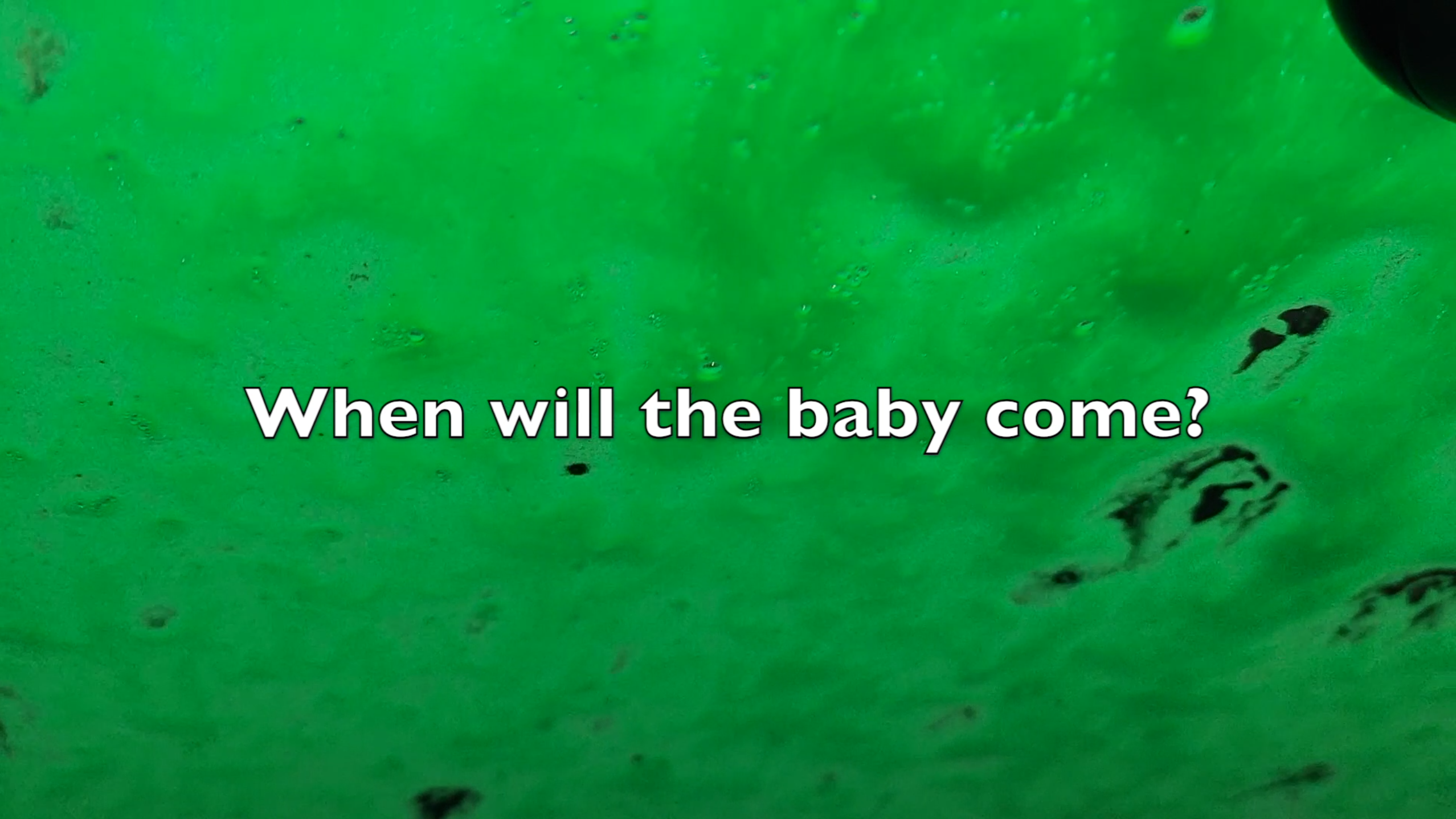 WashWash video still 1